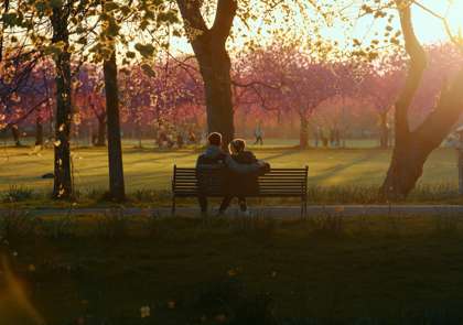 The Meadows