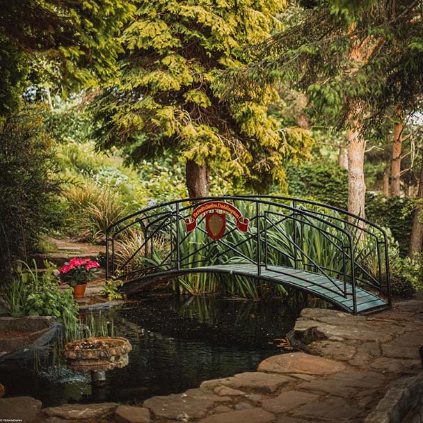 Dr Neill's Garden